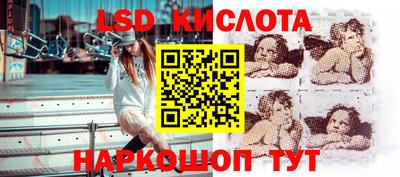 крисы Малгобек