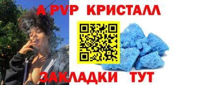 крисы Малгобек