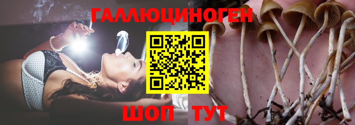 Стрежевой  Галлюциногенные грибы Magic Shrooms  как найти закладки  Вход с VPN 